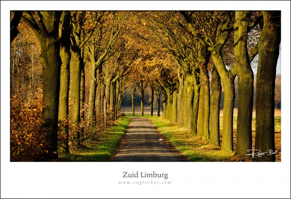 Limburg1