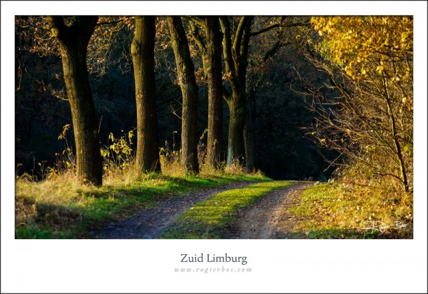 Limburg3