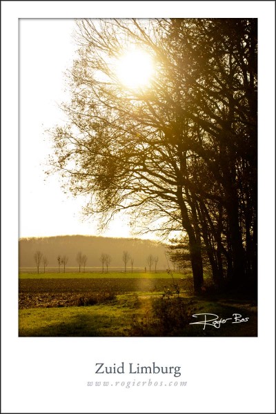 Limburg4