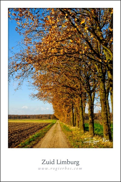 Limburg5